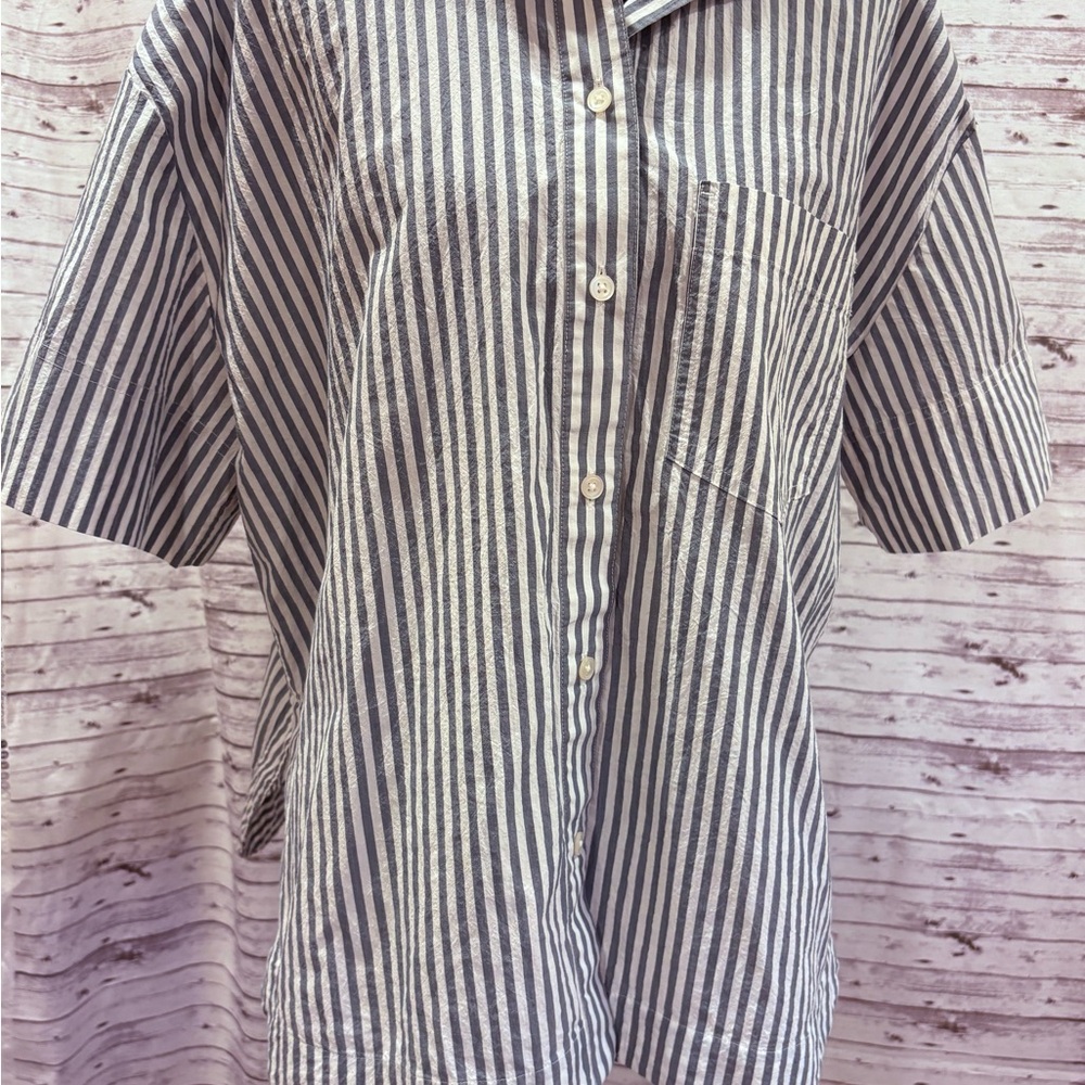 Madewell Blue and White Striped Shirt